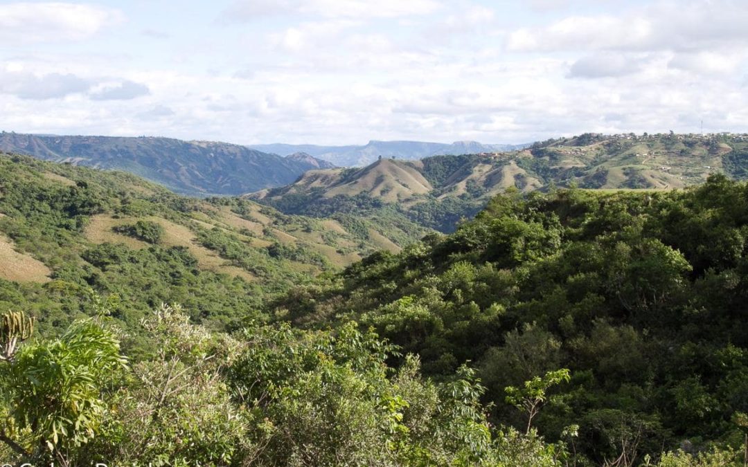 It’s OCR time – African style